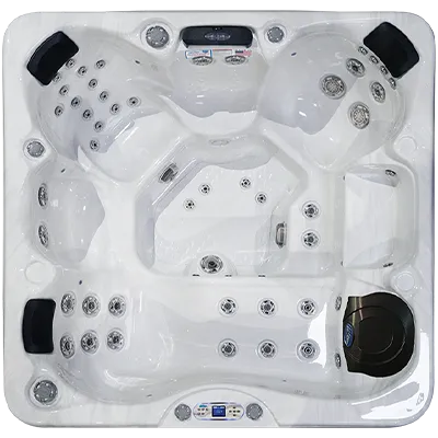 Avalon EC-849L hot tubs for sale in Commerce City