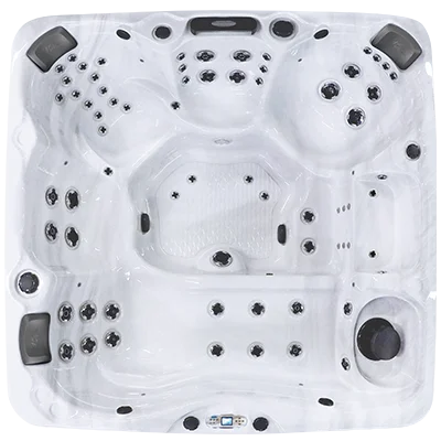 Avalon EC-867L hot tubs for sale in Commerce City